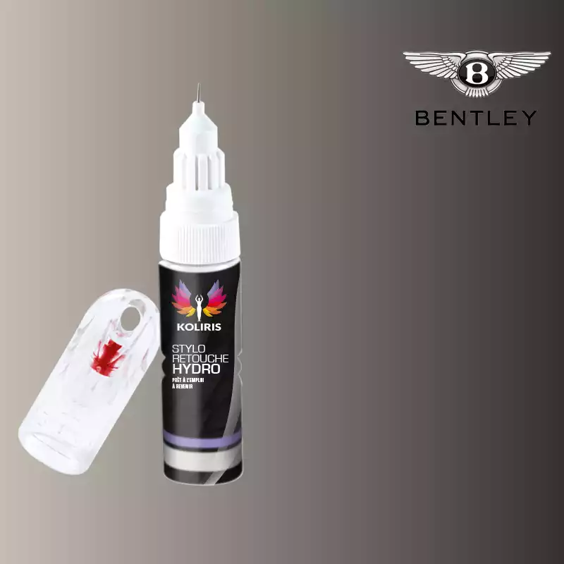 Stylo retouche peinture voiture Bentley 20ml