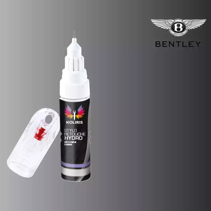 Stylo retouche peinture voiture Bentley 20ml