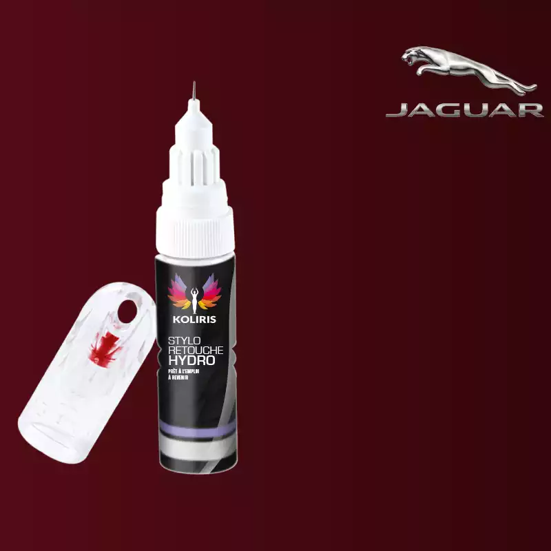 Stylo retouche peinture voiture Jaguar 20ml