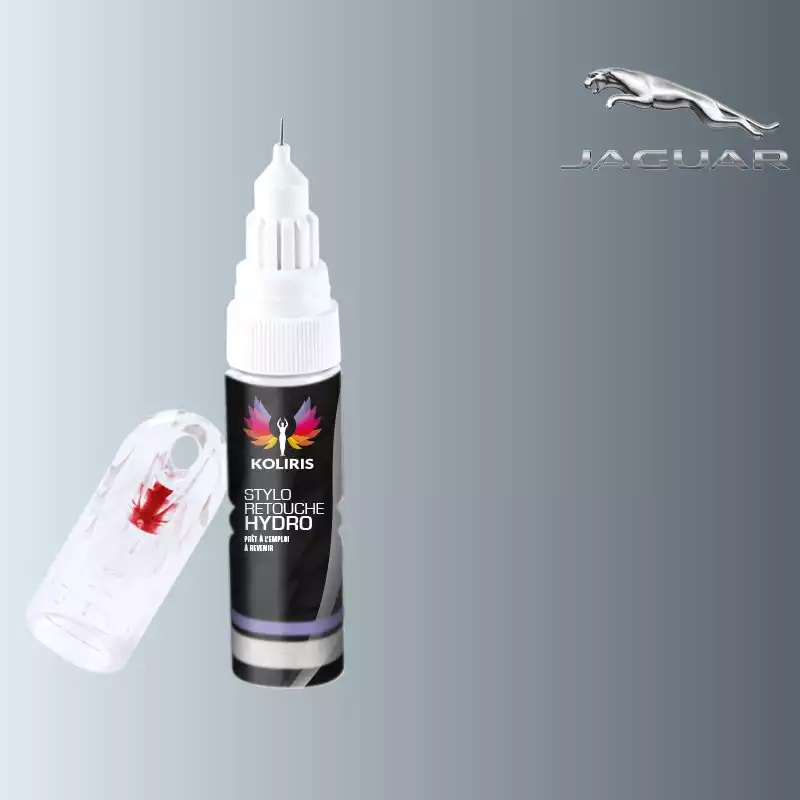 Stylo retouche peinture voiture Jaguar 20ml