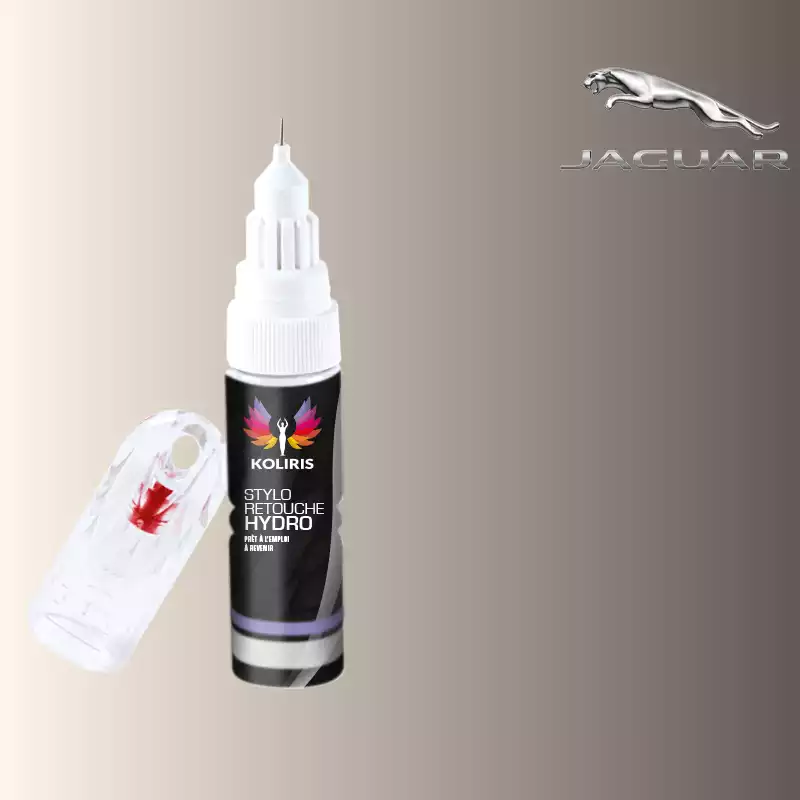 Stylo retouche peinture voiture Jaguar 20ml