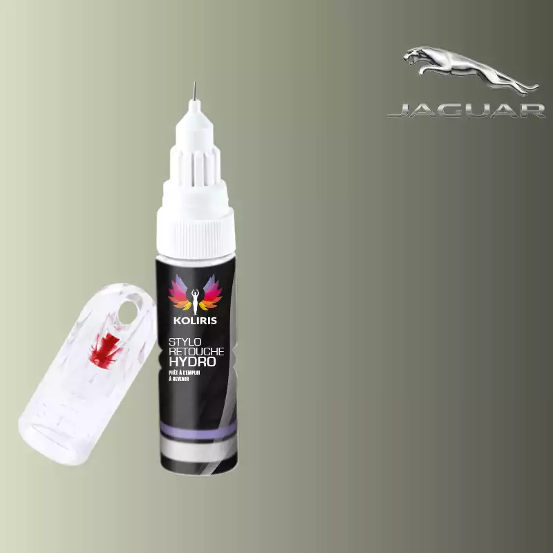 Stylo retouche peinture voiture Jaguar 20ml