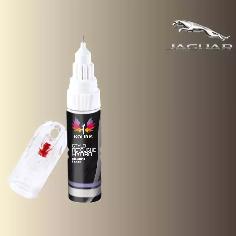 Stylo retouche peinture voiture Jaguar 20ml