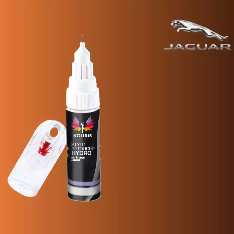 Stylo retouche peinture voiture Jaguar 20ml