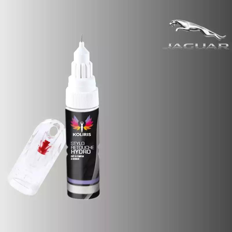 Stylo retouche peinture voiture Jaguar 20ml