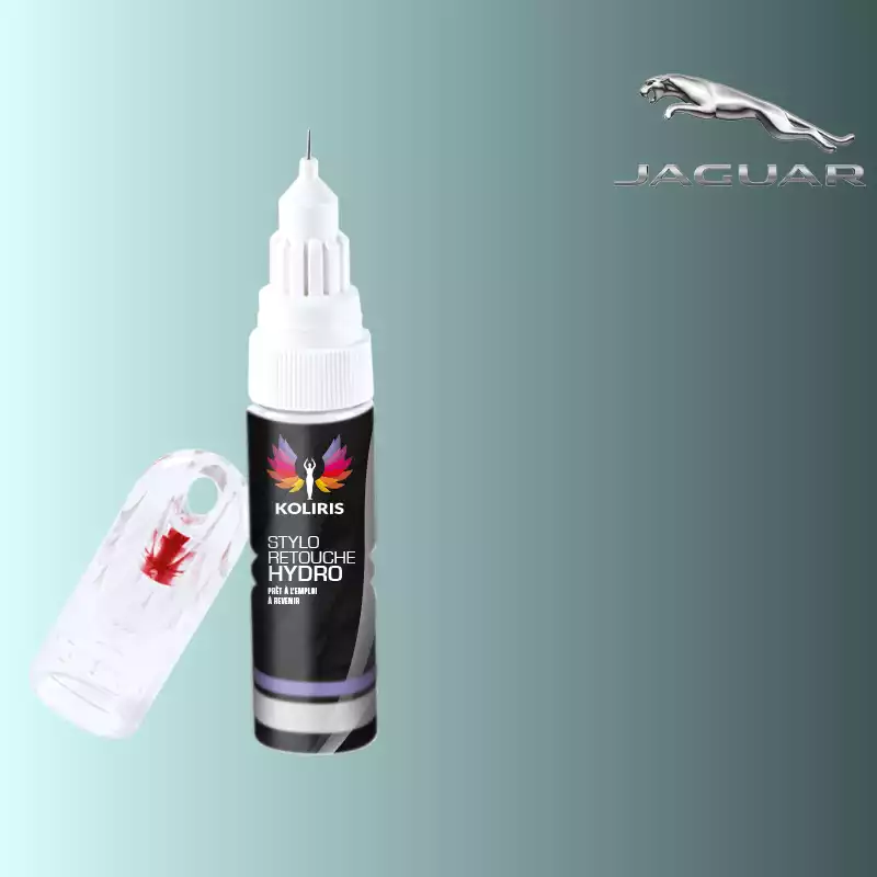 Stylo retouche peinture voiture Jaguar 20ml