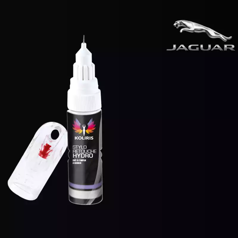 Stylo retouche peinture voiture Jaguar 20ml