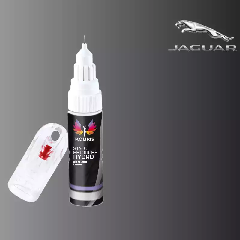 Stylo retouche peinture voiture Jaguar 20ml