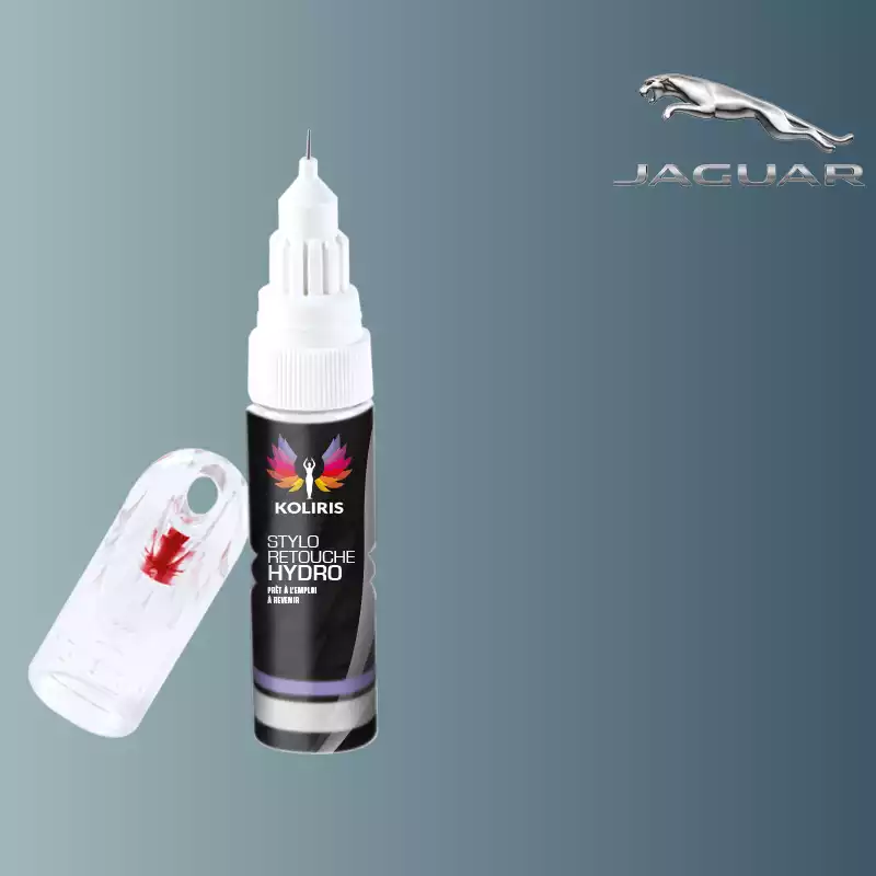 Stylo retouche peinture voiture Jaguar 20ml