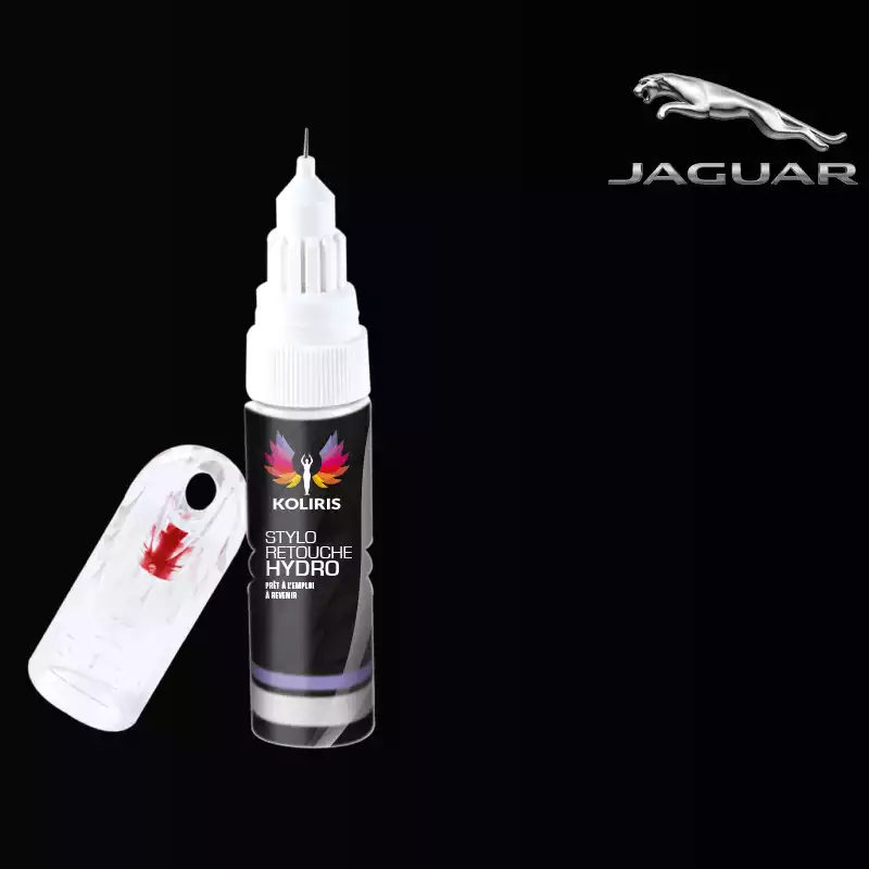 Stylo retouche peinture voiture Jaguar 20ml