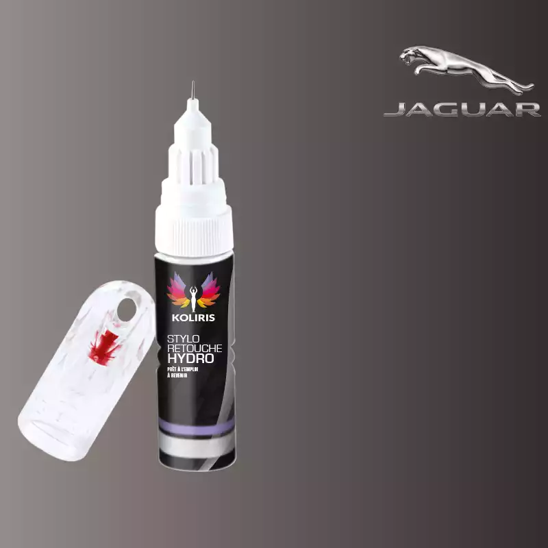 Stylo retouche peinture voiture Jaguar 20ml