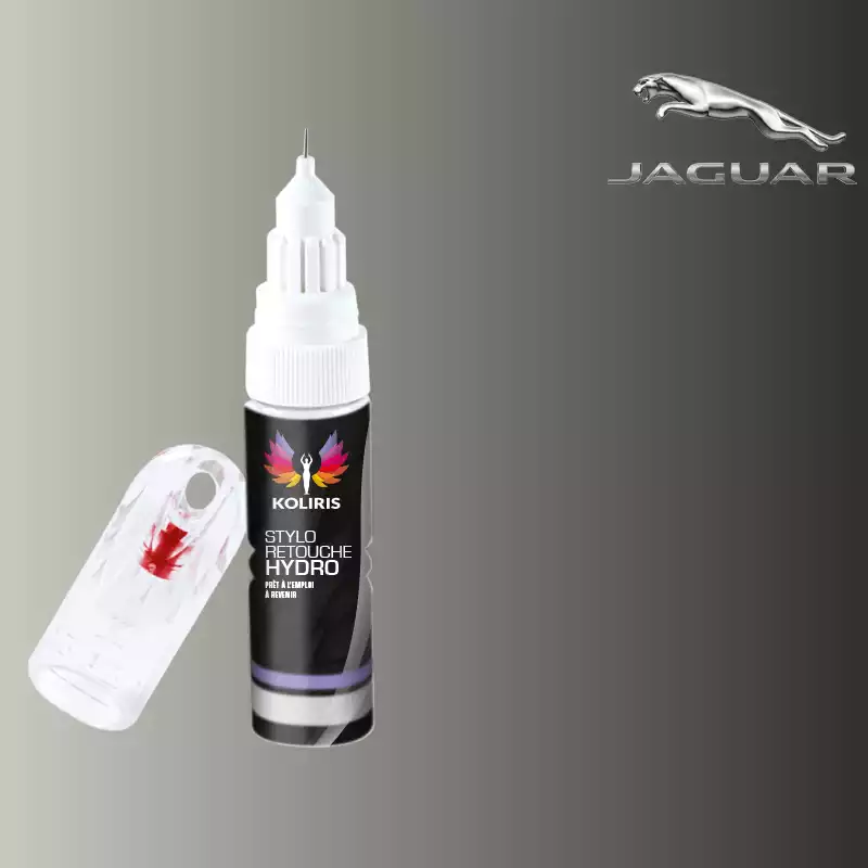 Stylo retouche peinture voiture Jaguar 20ml