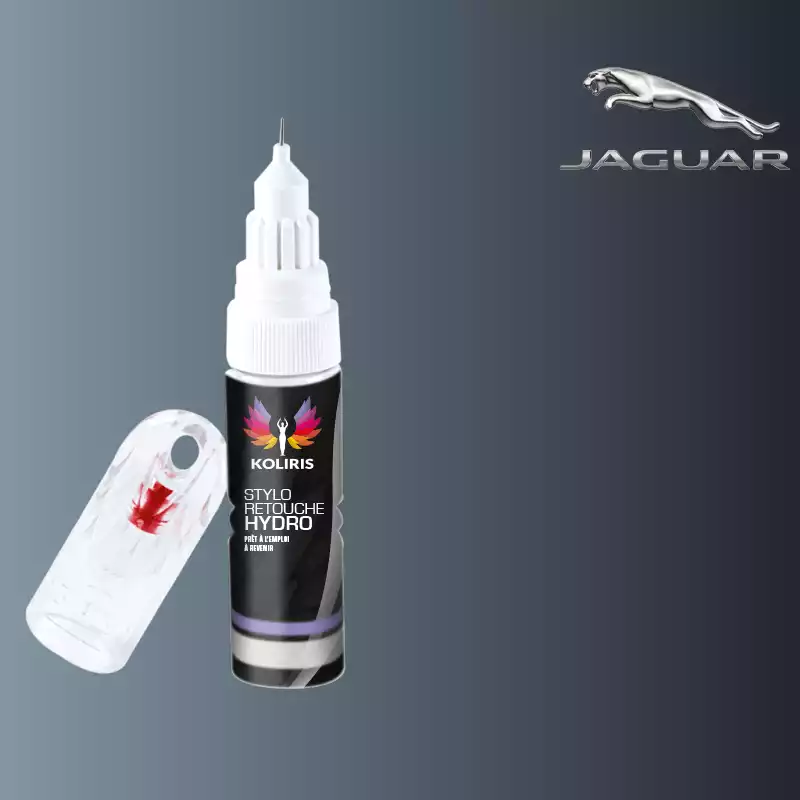 Stylo retouche peinture voiture Jaguar 20ml