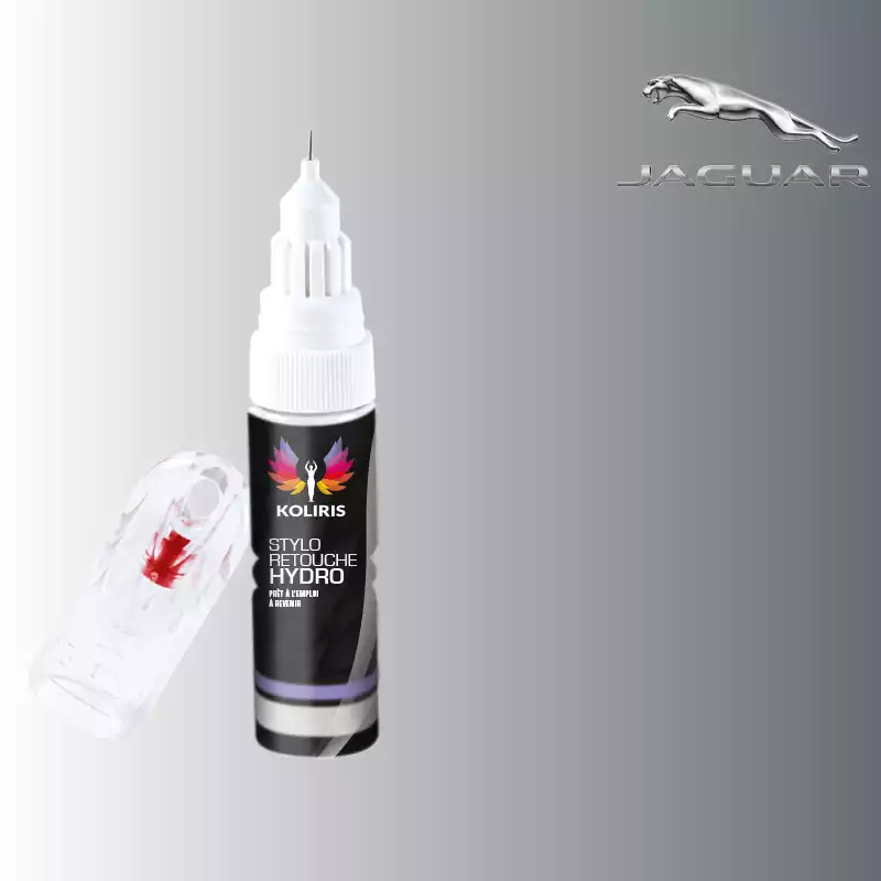 Stylo retouche peinture voiture Jaguar 20ml