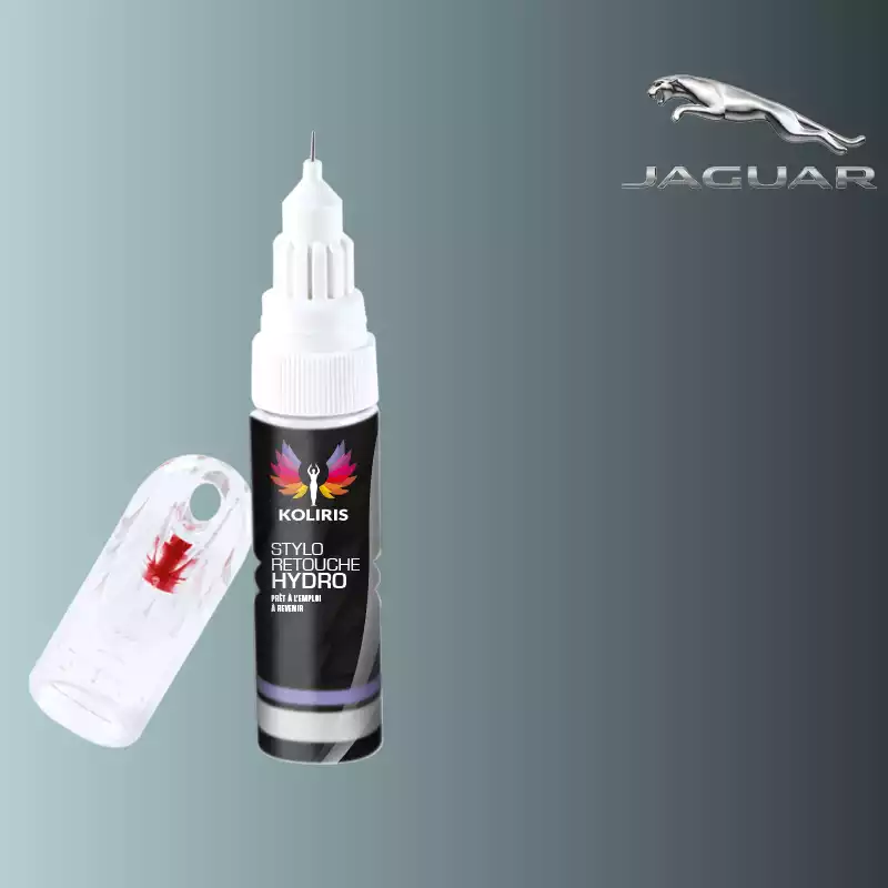 Stylo retouche peinture voiture Jaguar 20ml