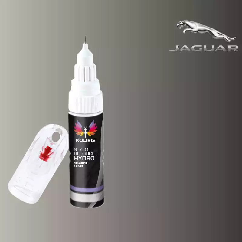 Stylo retouche peinture voiture Jaguar 20ml