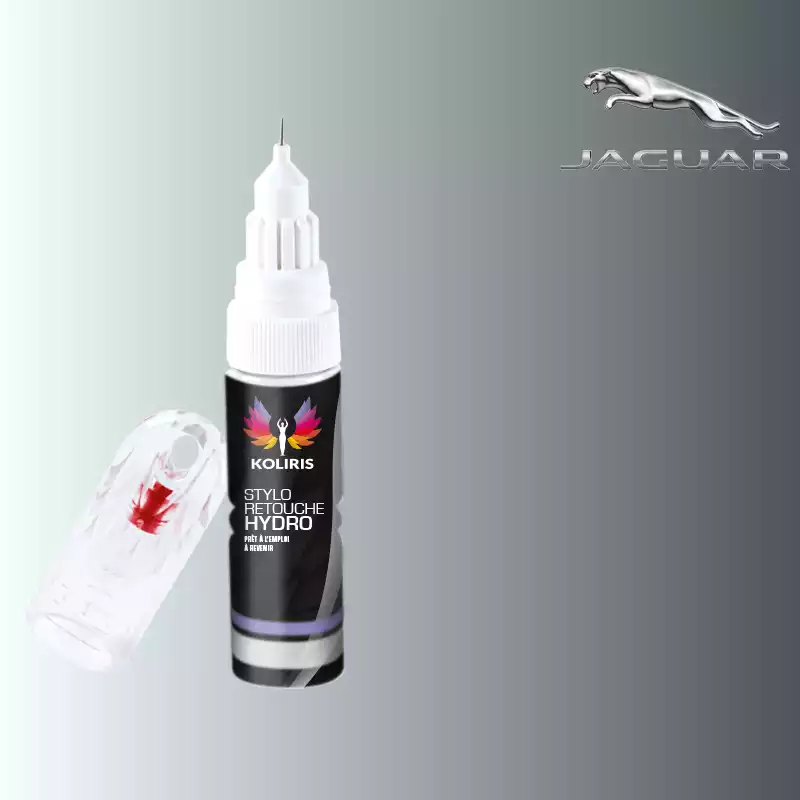 Stylo retouche peinture voiture Jaguar 20ml