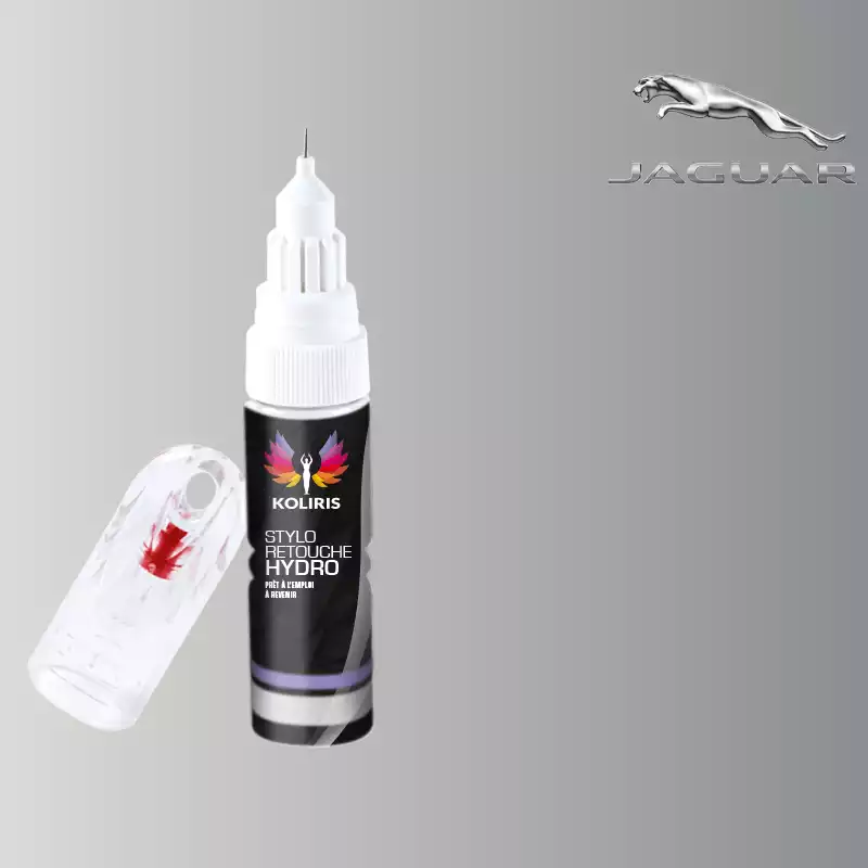 Stylo retouche peinture voiture Jaguar 20ml