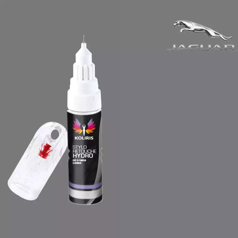 Stylo retouche peinture voiture Jaguar 20ml