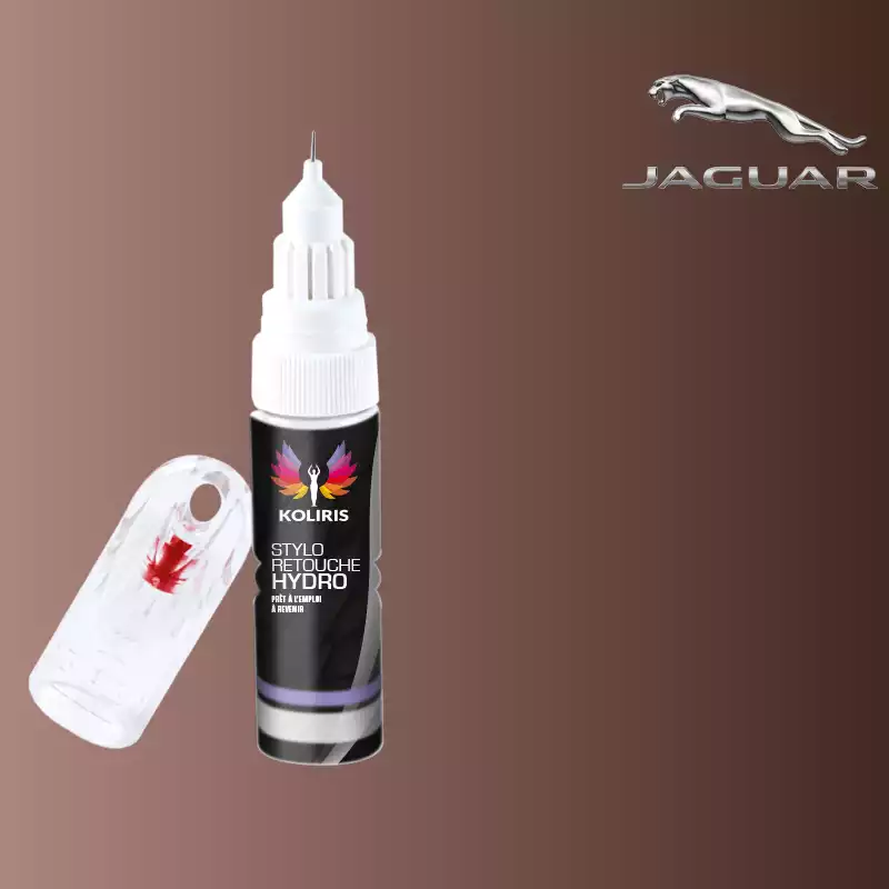 Stylo retouche peinture voiture Jaguar 20ml