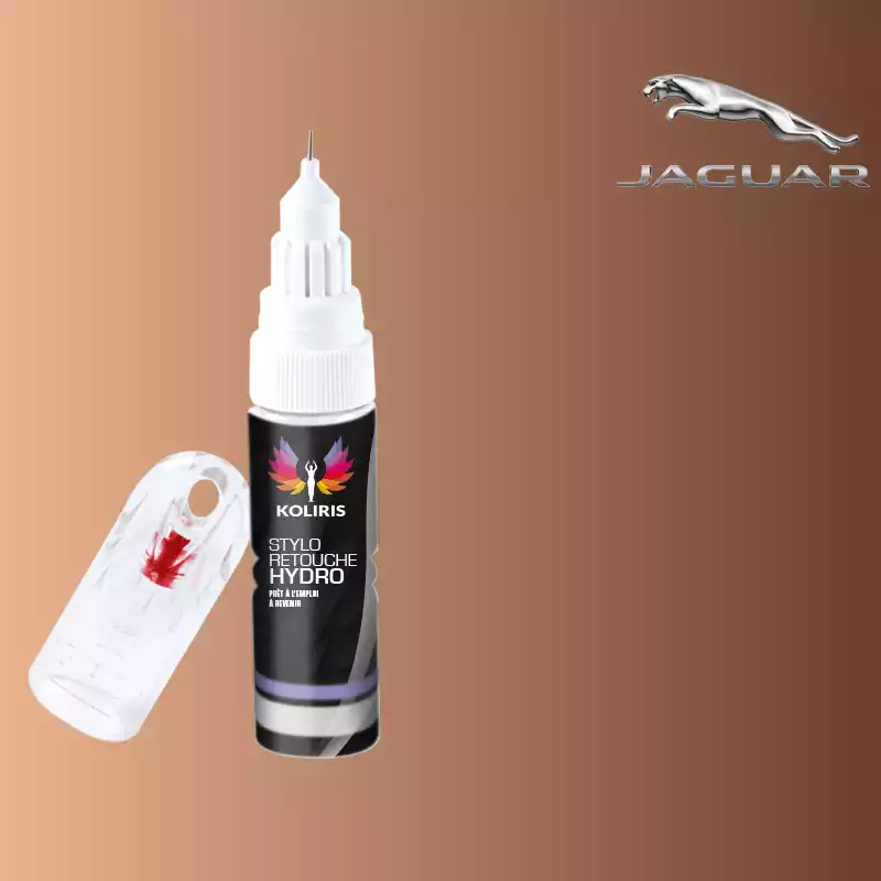 Stylo retouche peinture voiture Jaguar 20ml