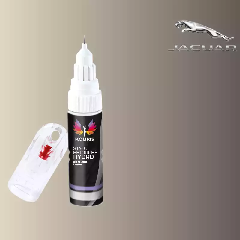 Stylo retouche peinture voiture Jaguar 20ml