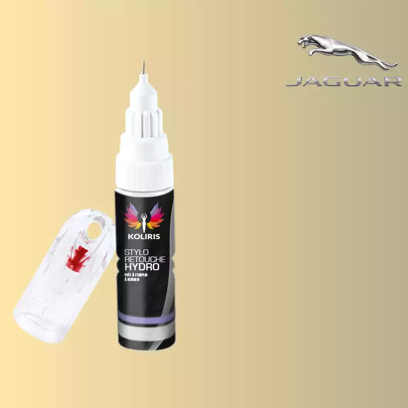 Stylo retouche peinture voiture Jaguar 20ml