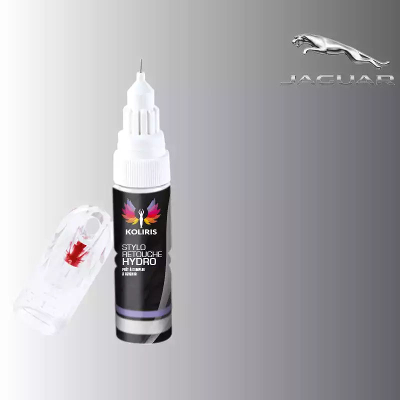 Stylo retouche peinture voiture Jaguar 20ml