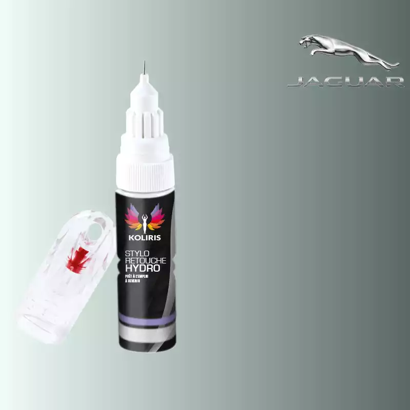 Stylo retouche peinture voiture Jaguar 20ml