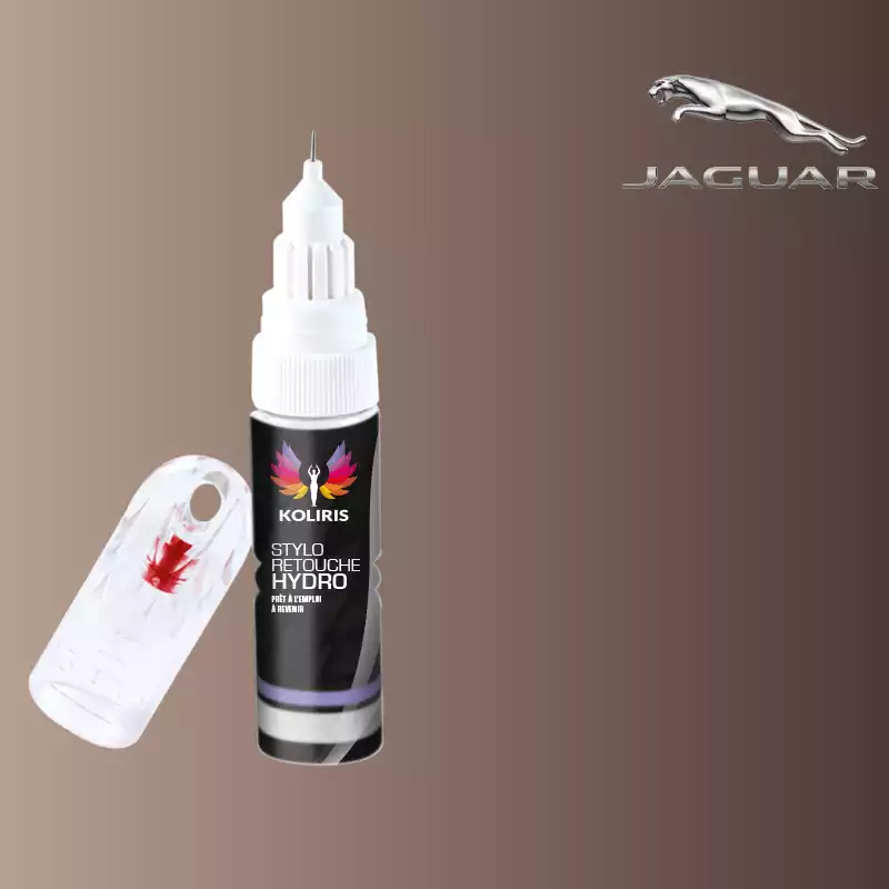 Stylo retouche peinture voiture Jaguar 20ml