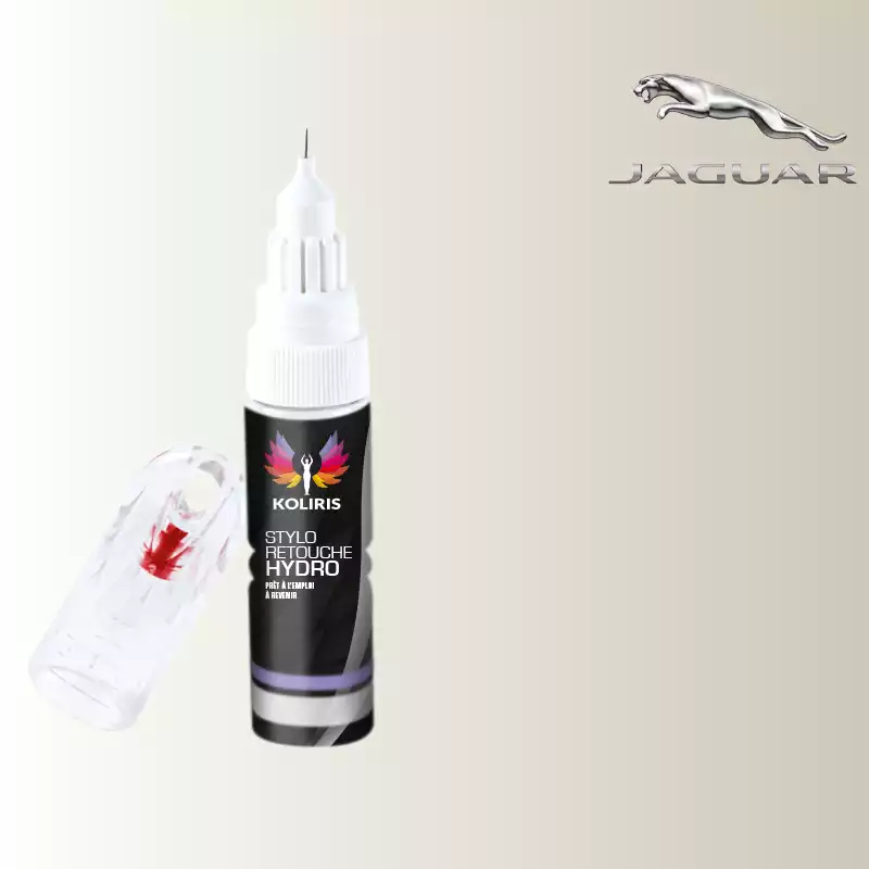 Stylo retouche peinture voiture Jaguar 20ml