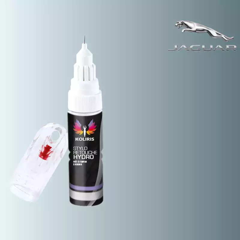 Stylo retouche peinture voiture Jaguar 20ml