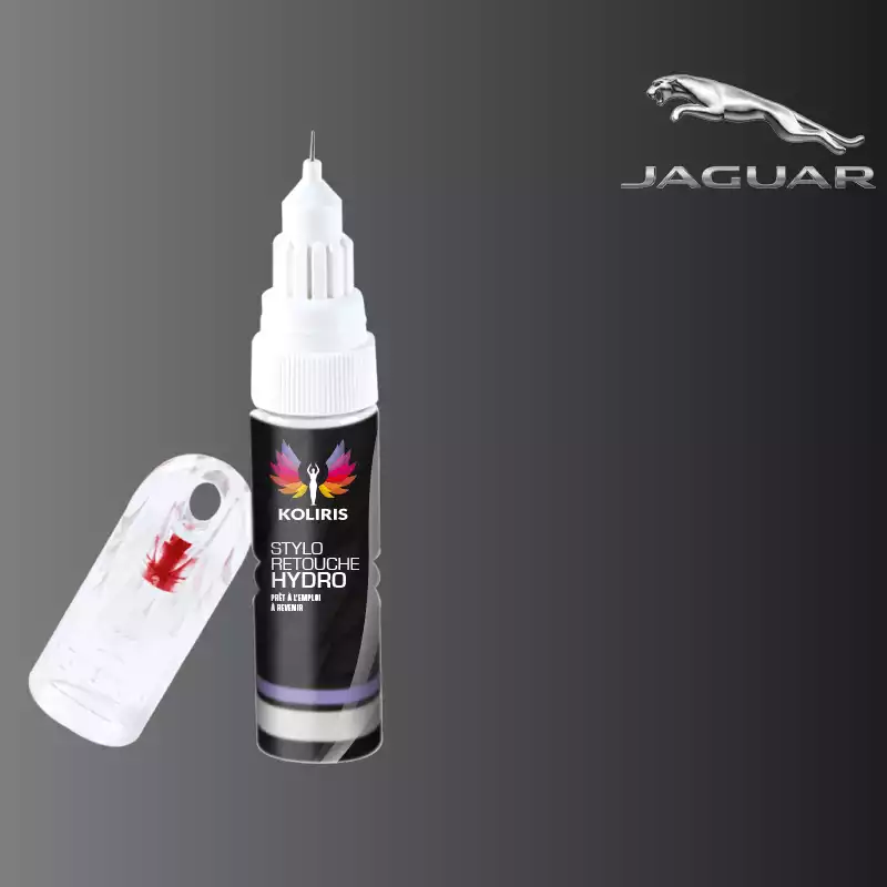 Stylo retouche peinture voiture Jaguar 20ml