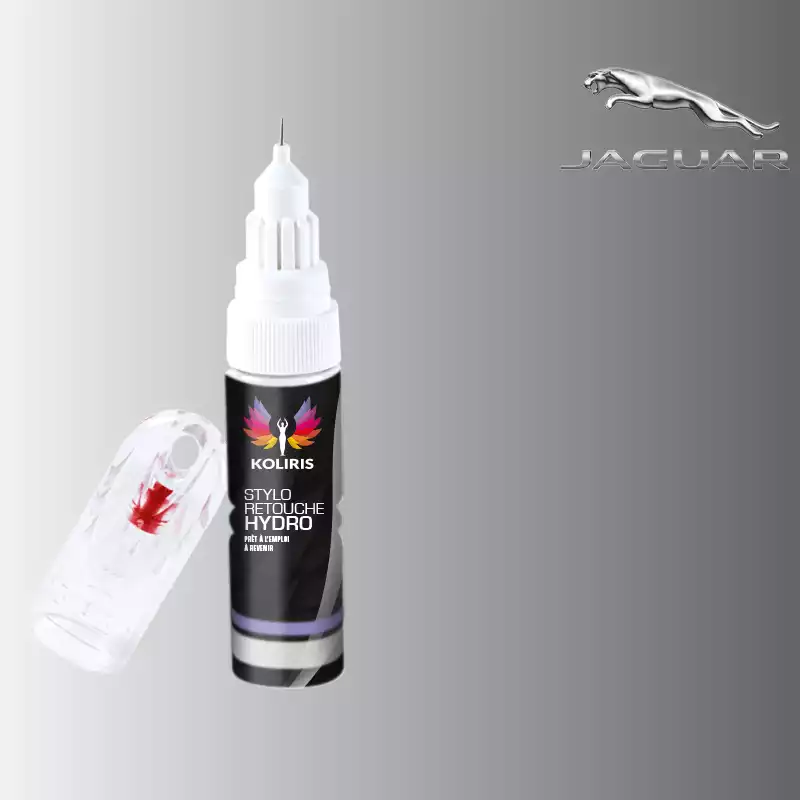 Stylo retouche peinture voiture Jaguar 20ml