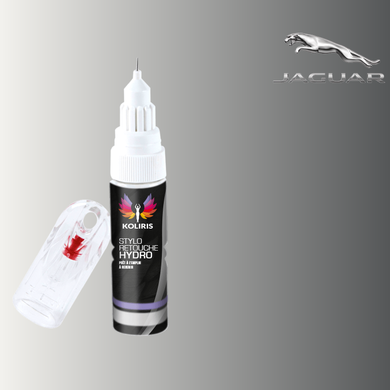 Stylo retouche peinture voiture Jaguar 20ml