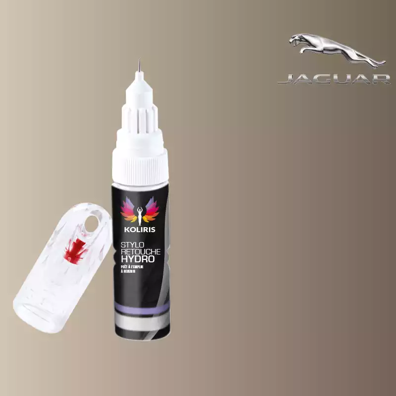 Stylo retouche peinture voiture Jaguar 20ml