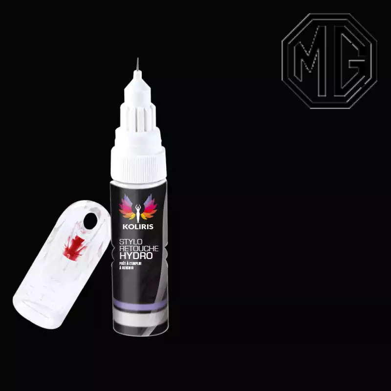 Stylo retouche peinture voiture Mg 20ml