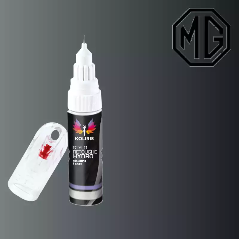 Stylo retouche peinture voiture Mg 20ml