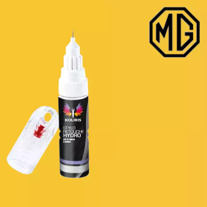 Stylo retouche peinture voiture Mg 20ml