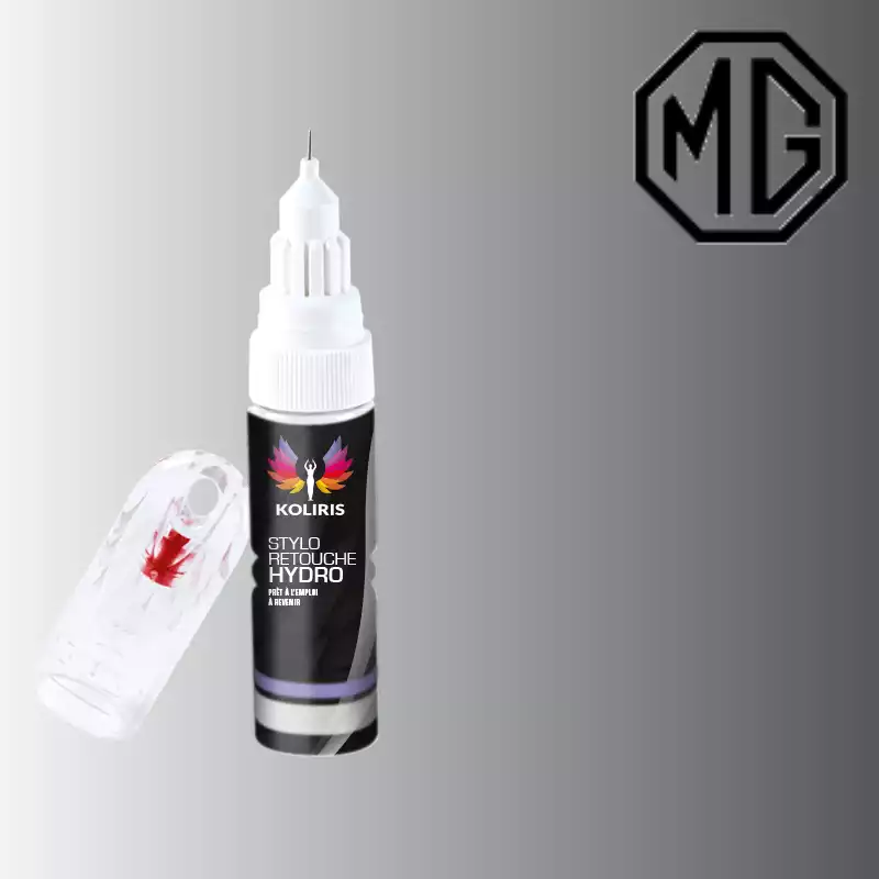 Stylo retouche peinture voiture Mg 20ml