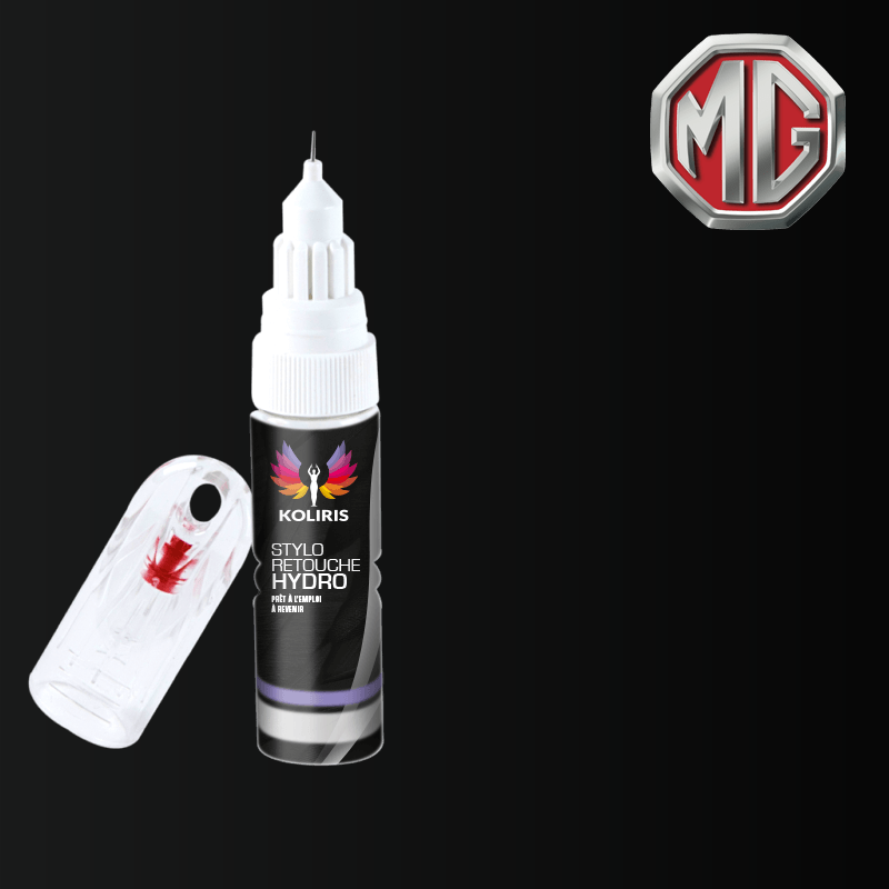 Stylo retouche peinture voiture Mg 20ml