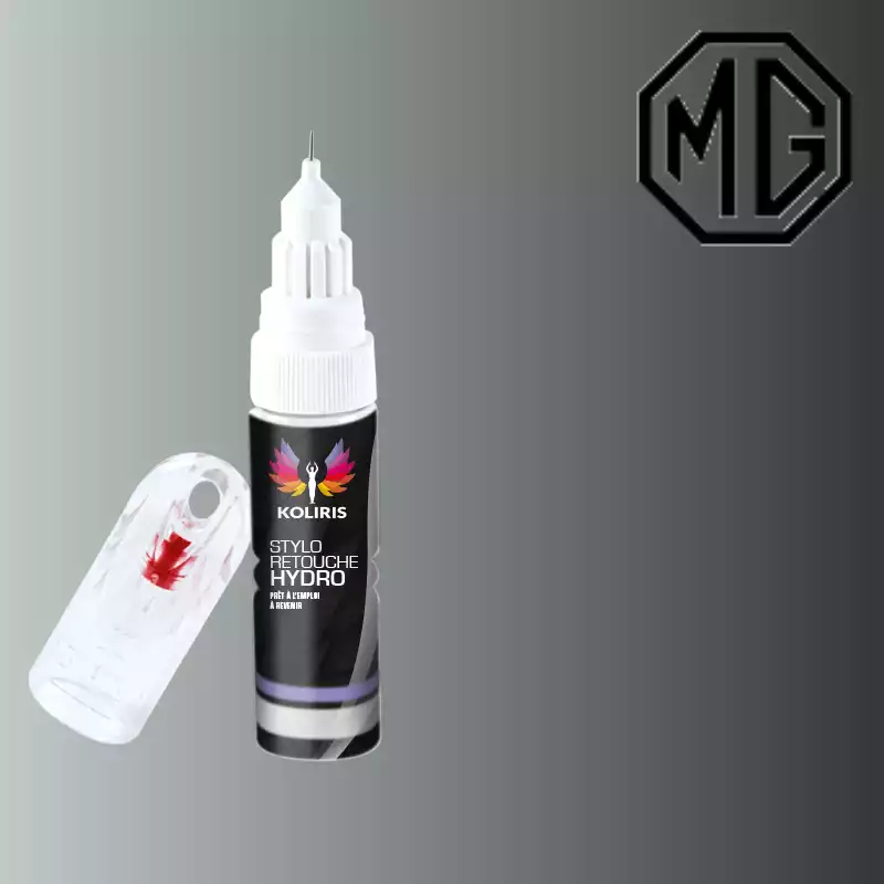 Stylo retouche peinture voiture Mg 20ml