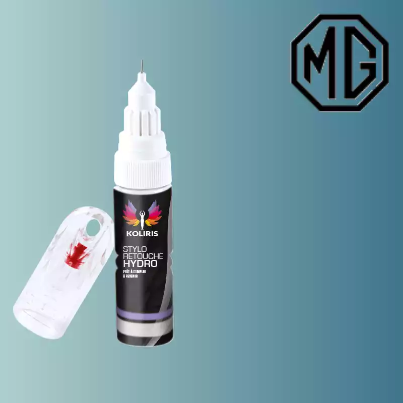 Stylo retouche peinture voiture Mg 20ml