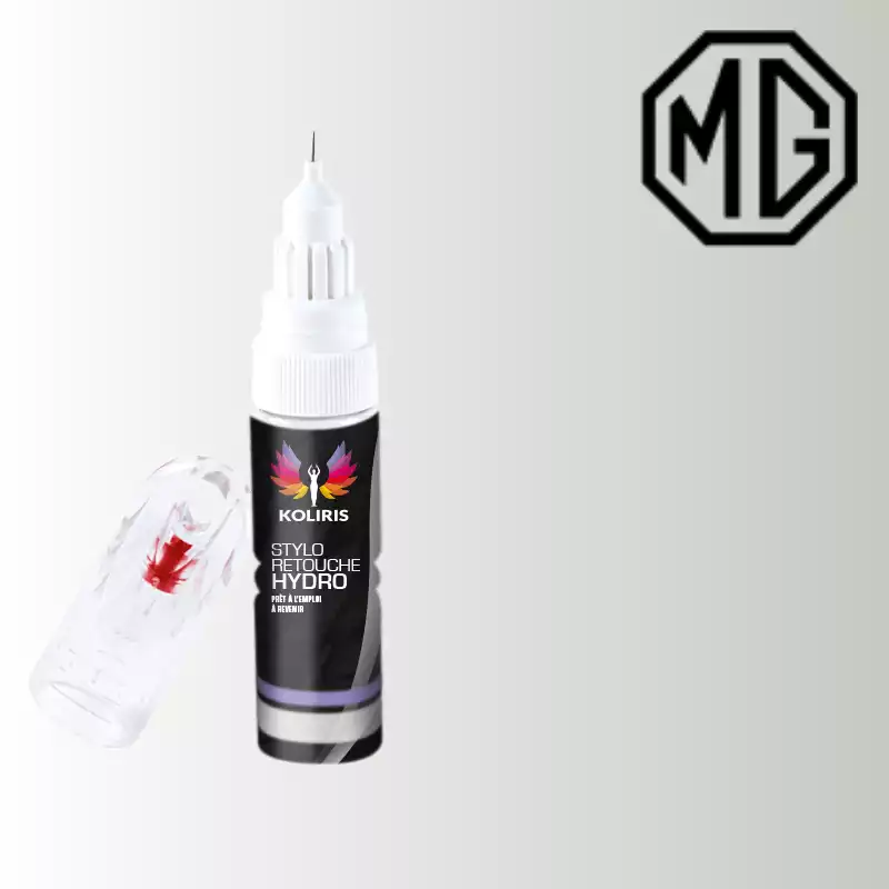 Stylo retouche peinture voiture Mg 20ml