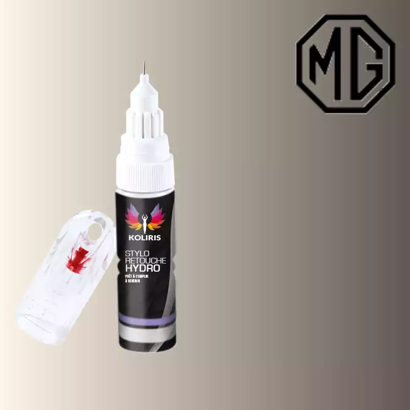 Stylo retouche peinture voiture Mg 20ml