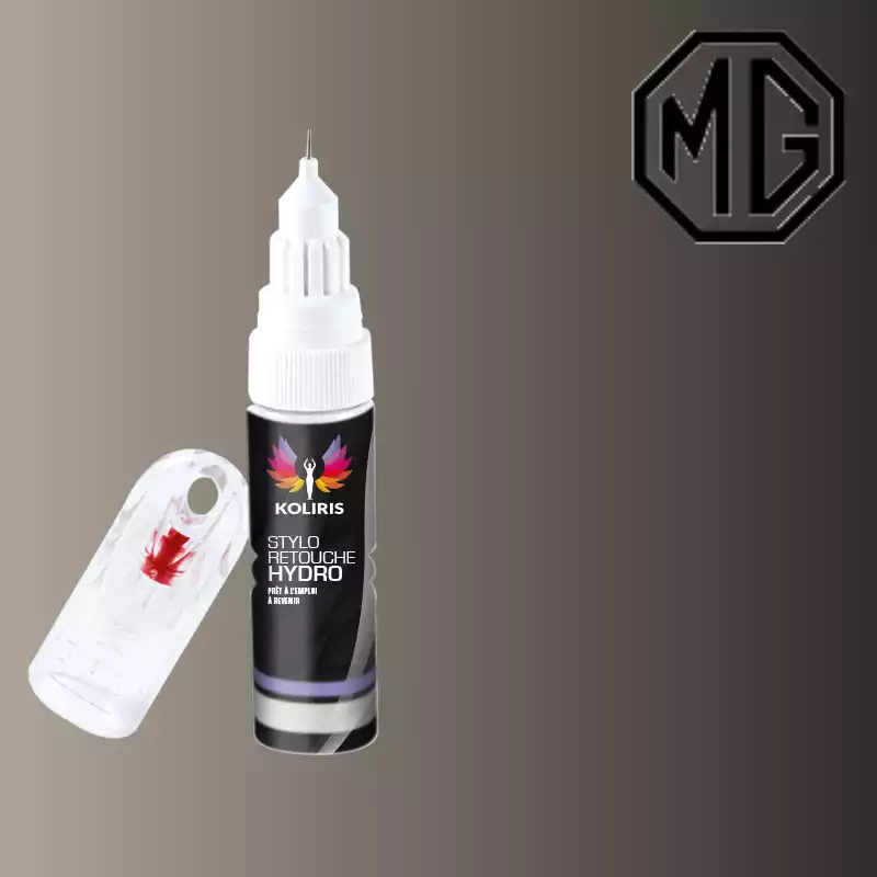 Stylo retouche peinture voiture Mg 20ml