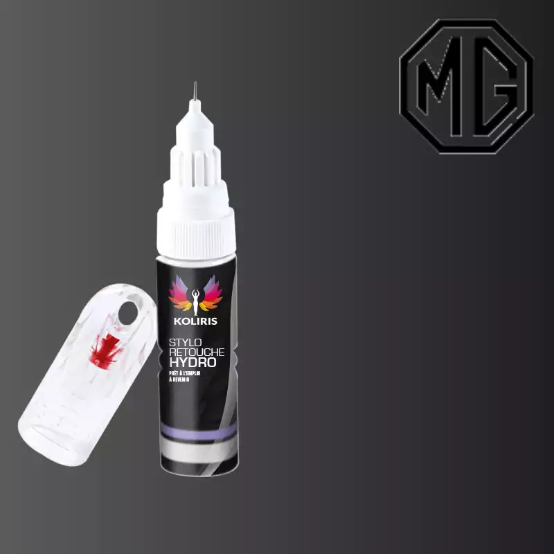 Stylo retouche peinture voiture Mg 20ml