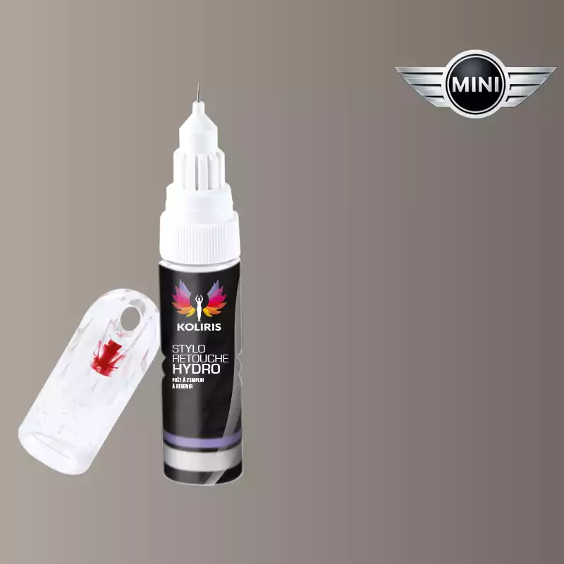 Stylo retouche peinture voiture Mini 20ml