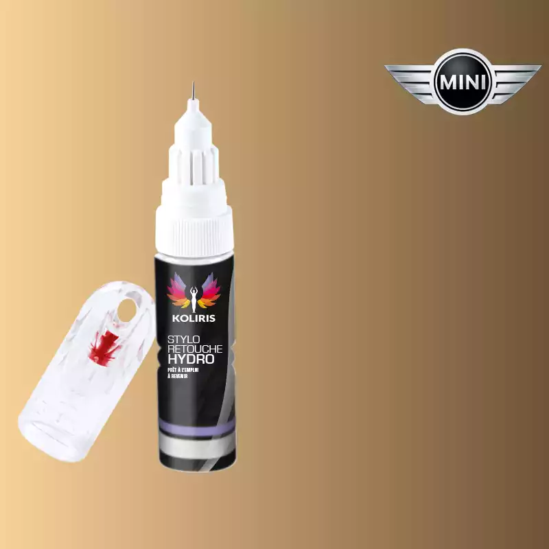 Stylo retouche peinture voiture Mini 20ml