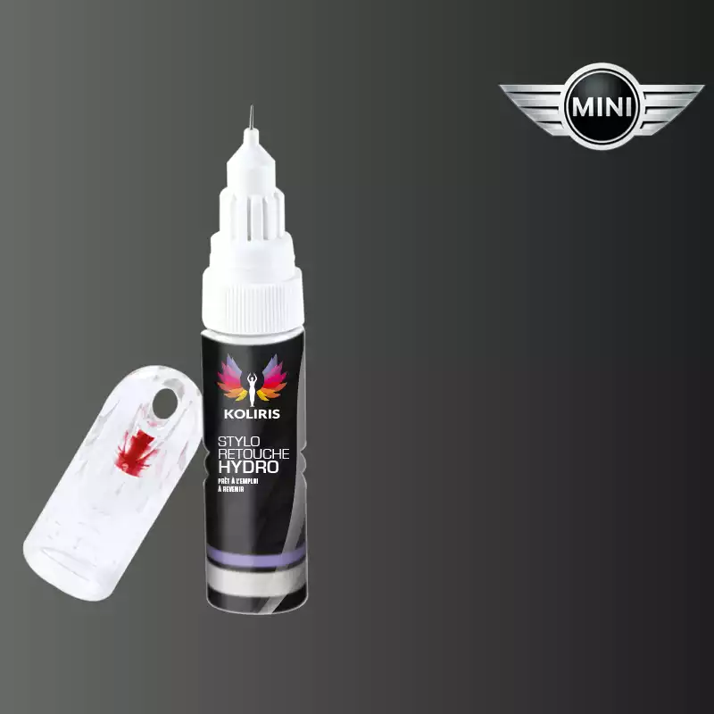 Stylo retouche peinture voiture Mini 20ml